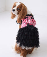 【メール便】うさ耳パーカーラブリーフリフリレースギャル犬服