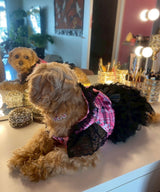 【メール便】うさ耳パーカーラブリーフリフリレースギャル犬服