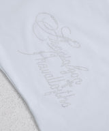 【メール便】Y2K星レースラグランスリーブ切替ストーンロゴ 半袖Tシャツ