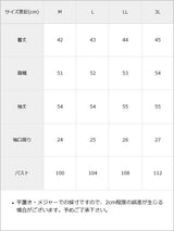 【10/23 10:59までの特別価格】【メール便】パールボタンシアーシャツ