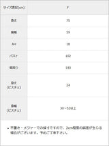 【10/23 10:59までの特別価格】【メール便】ビスチェセットチュニックトップス