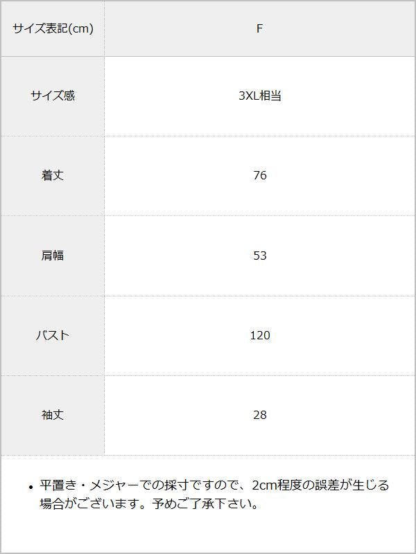 ビッグシルエットUSED風Tシャツ 【オーバーサイズ】【ロング丈】 / サイズ表