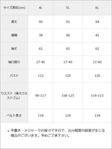 レースドッキングビスチェワンピ