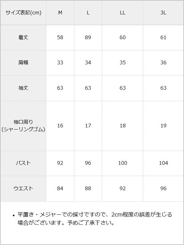 【10/23 10:59までの特別価格】バラリボン付ガーリーブラウス【大きいサイズ有り】 / サイズ表