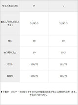 レースブラウスビスチェセット